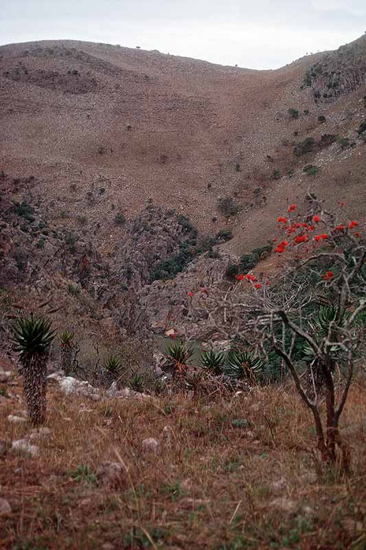 At Mahamba Gorge