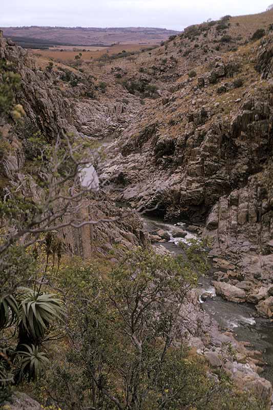 Mahamba Gorge