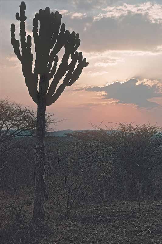 Evening sky, Olakeni