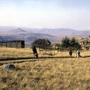 Homestead near Ebenezer