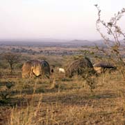 Lowveld near Hluti