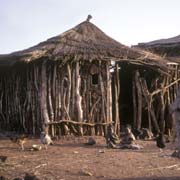 Swazi homestead