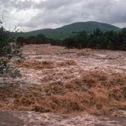 Mkondo river flooded