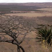 Mkondo valley