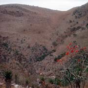 At Mahamba Gorge