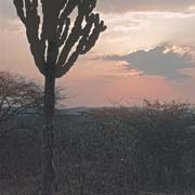 Evening sky, Olakeni