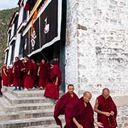 Monks, Drepung Monastery