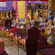 Monks' examination, Sera Monastery