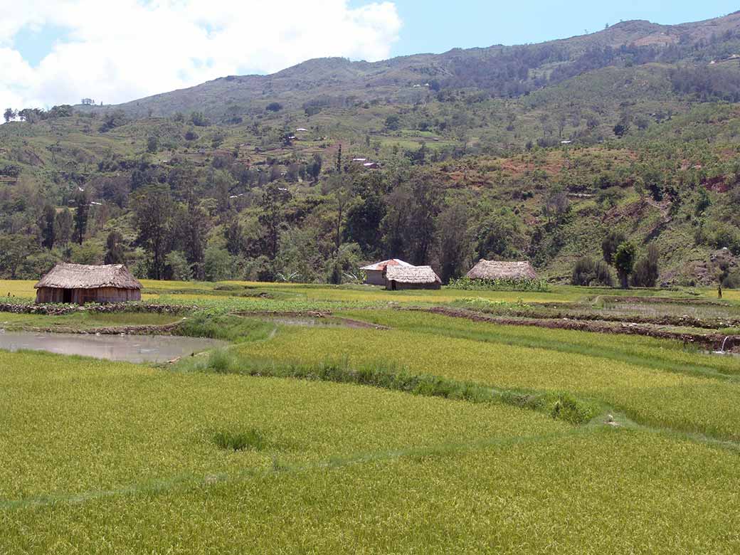 Between Aileu and Maubisse