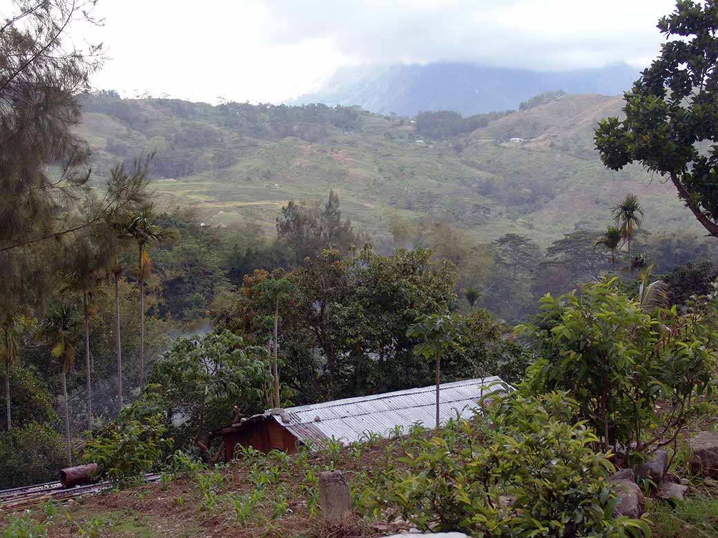 View in Ainaro