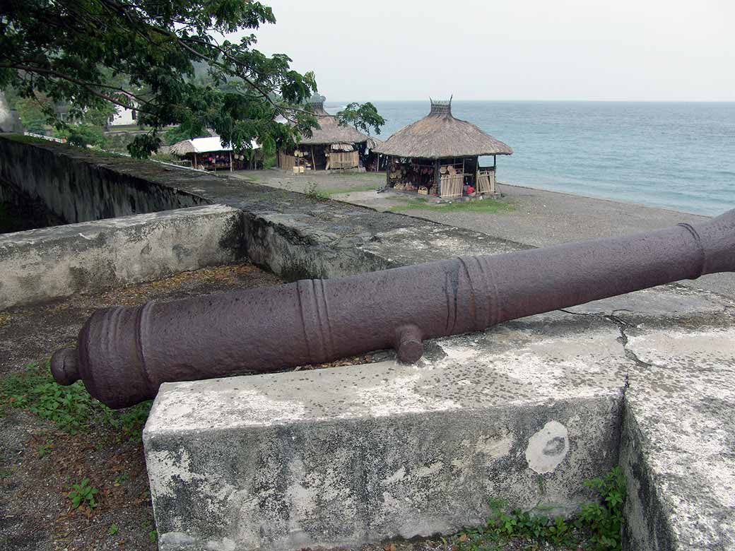 Portuguese cannon