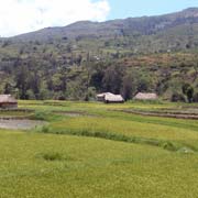 Between Aileu and Maubisse