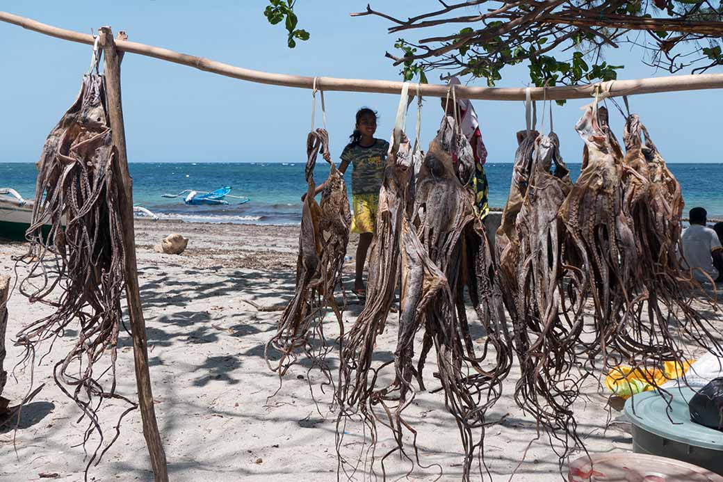 Dried squid for sale