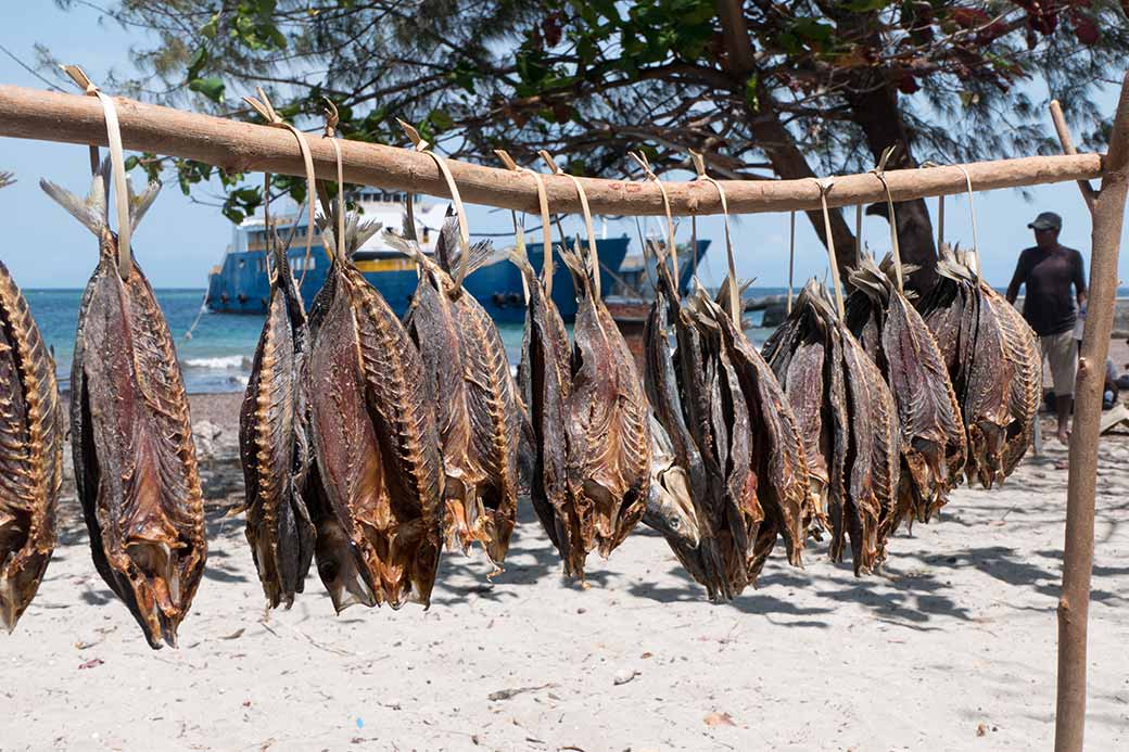 Dried fish for sale