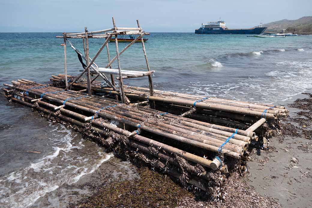 Bamboo raft on the beach