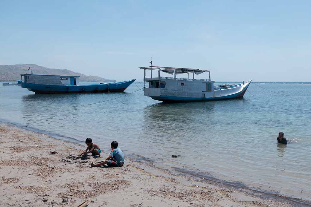 Beach near Vila