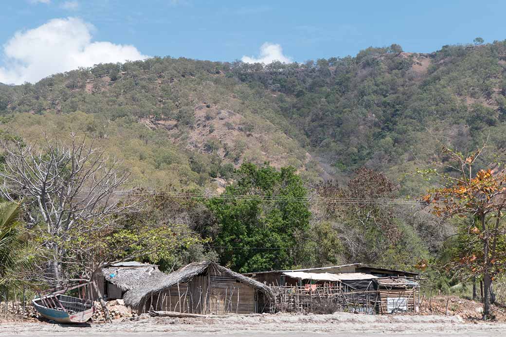 Houses on the beach