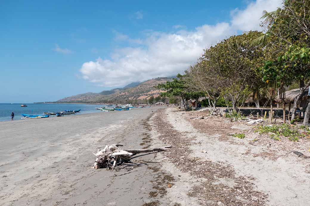 Beach at Barry's Place