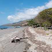 Beach at Barry's Place