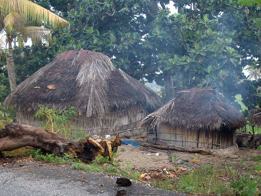 Thatched houses