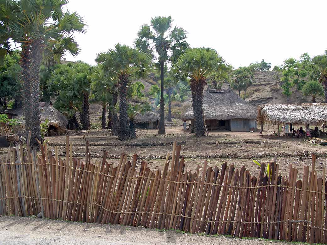 Village near Laga