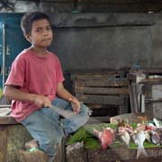 Boy selling fish