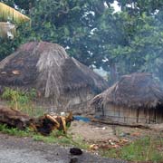 Thatched houses