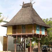 Traditional house