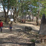 Road into Tutuala