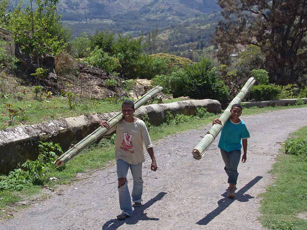 Carrying bamboo poles