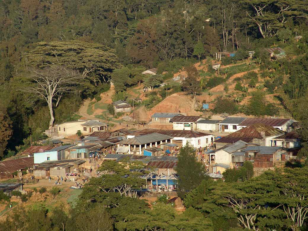 View to market