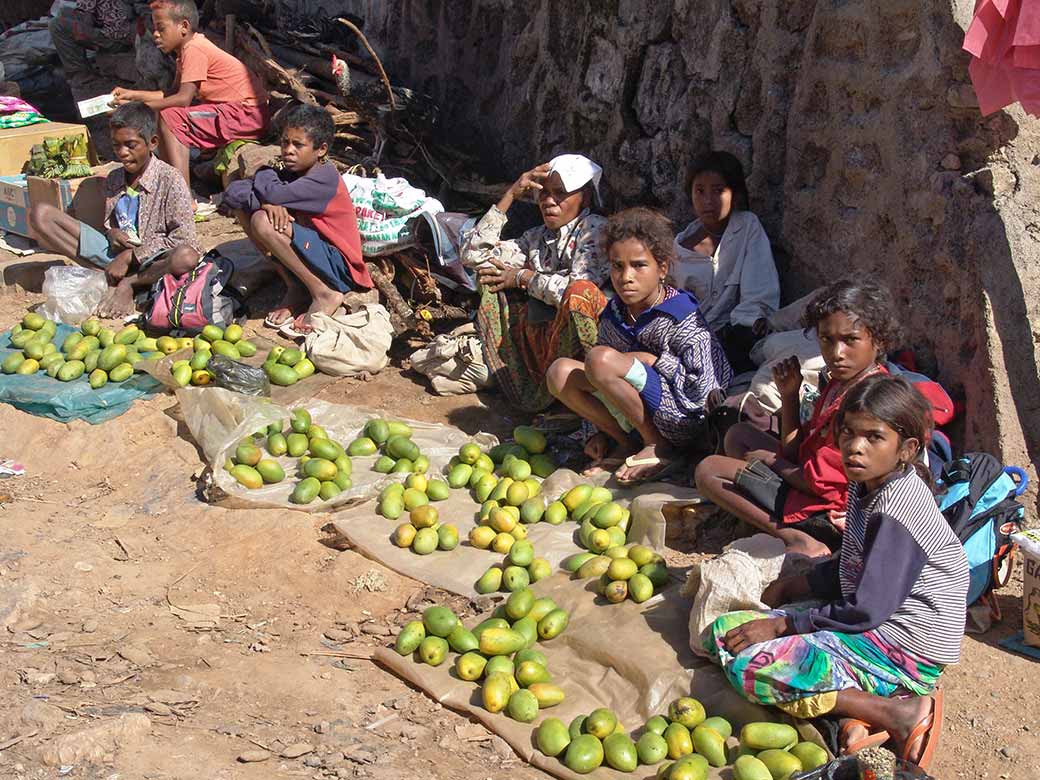 Selling mangoes