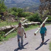 Carrying bamboo poles