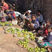 Selling mangoes