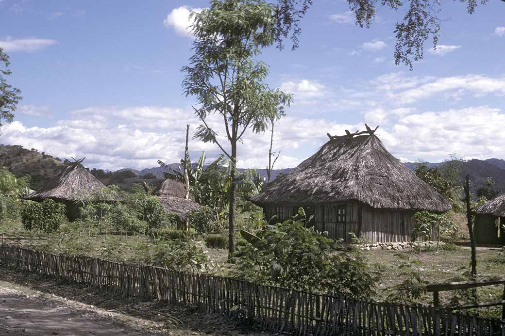 Typical houses, Naimeco