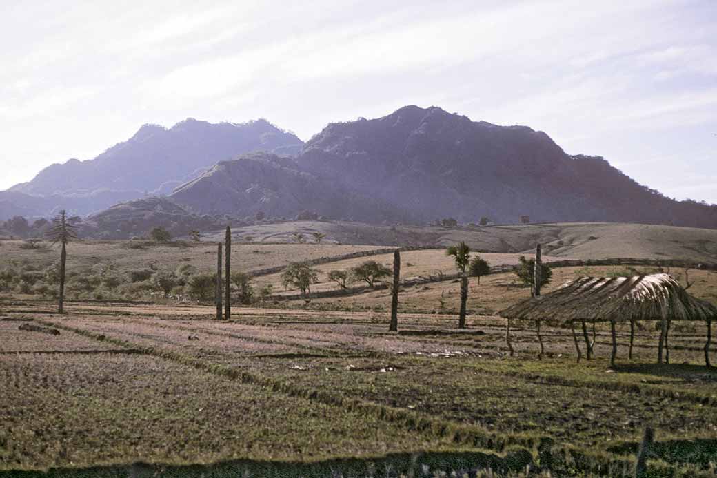 Landscape in Oé-Cusse