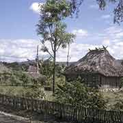 Typical houses, Naimeco