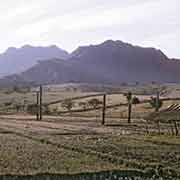 Landscape in Oé-Cusse