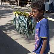 Boy selling fish