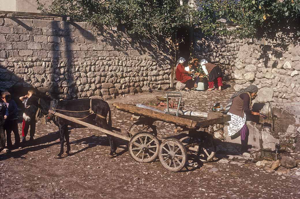 Donkey cart at water tap