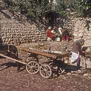 Donkey cart at water tap