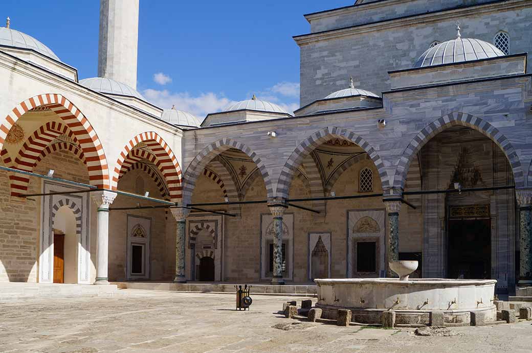 Medical school courtyard