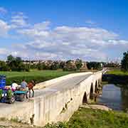 The Bayezid Bridge