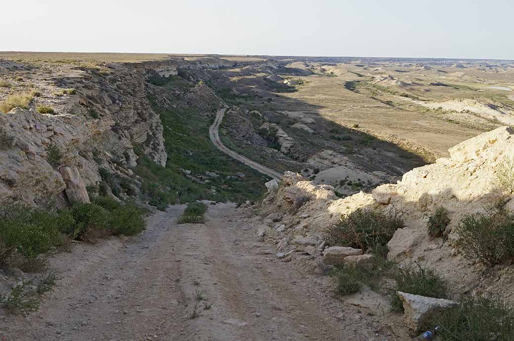 Road to the Aral Sea
