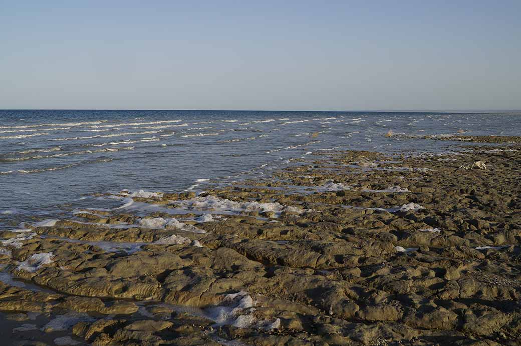 The Aral Sea