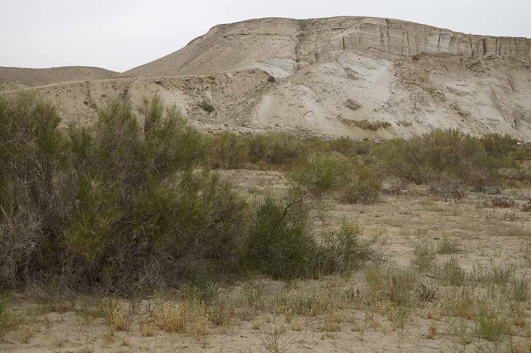 Former Aral Sea