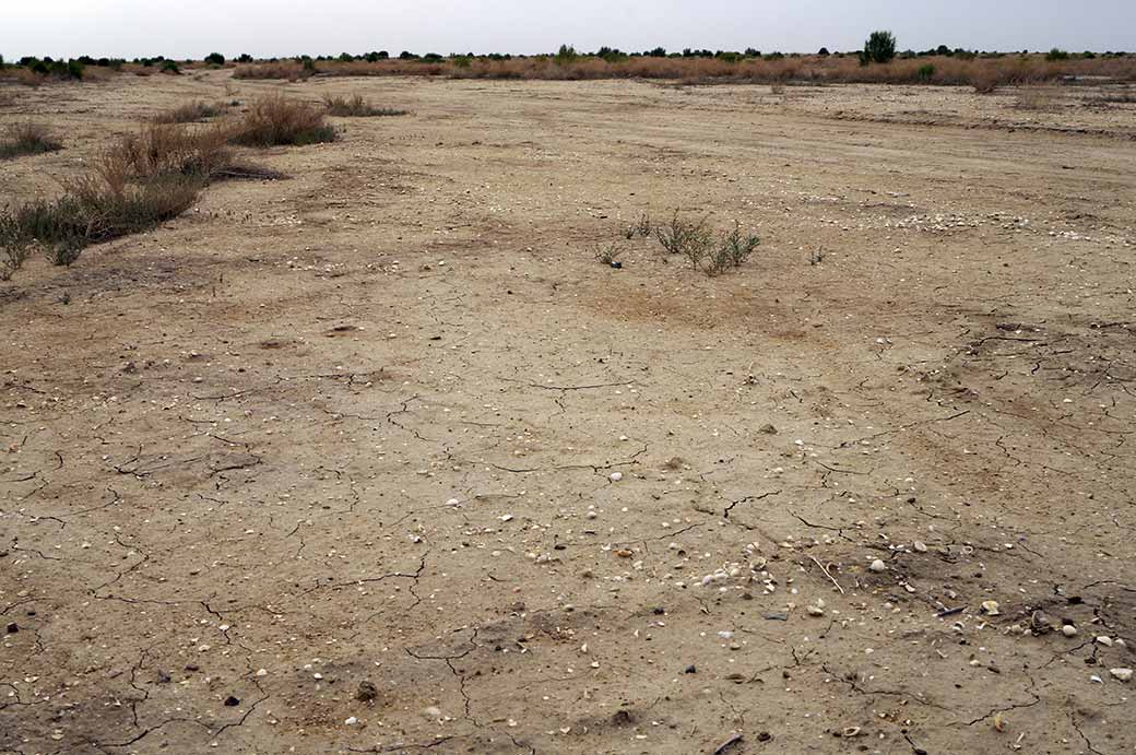 Dry Amu Darya delta
