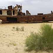 Stranded fishing trawler