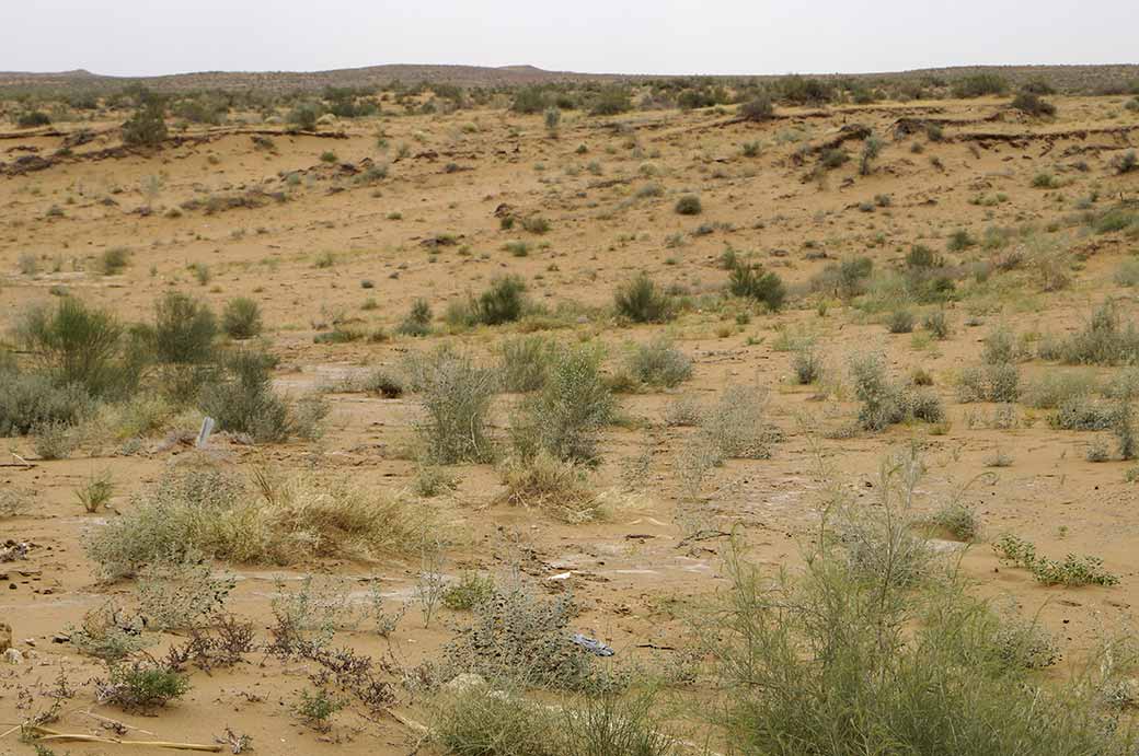 Between Khiva and Bukhara