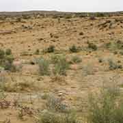 Between Khiva and Bukhara